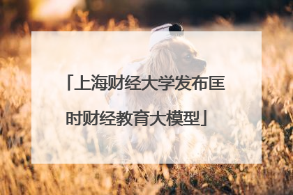 上海财经大学发布匡时财经教育大模型