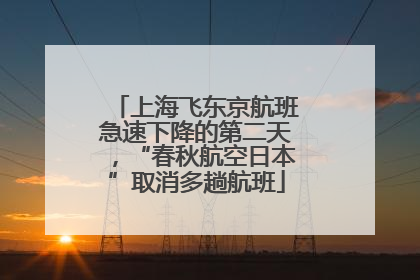 上海飞东京航班急速下降的第二天，“春秋航空日本”取消多趟航班