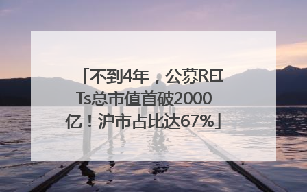 不到4年，公募REITs总市值首破2000亿！沪市占比达67%