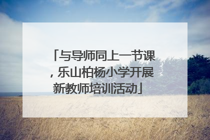 与导师同上一节课，乐山柏杨小学开展新教师培训活动