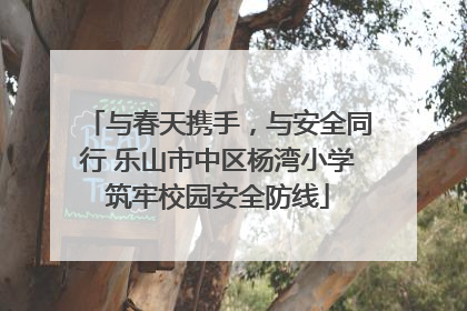 与春天携手，与安全同行 乐山市中区杨湾小学筑牢校园安全防线