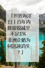 世界海洋日丨百年内数量锐减至不足1% 非洲企鹅为何迅速消失？