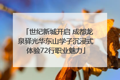 世纪新城开启 成都龙泉驿光华东山学子沉浸式体验72行职业魅力