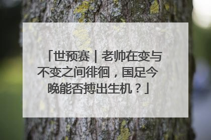 世预赛｜老帅在变与不变之间徘徊，国足今晚能否搏出生机？