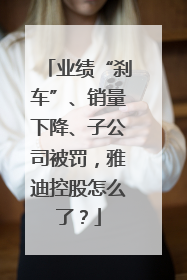 业绩“刹车”、销量下降、子公司被罚，雅迪控股怎么了？