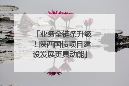 业务全链条升级！陕西国债项目建设发展更具动能