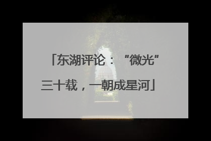 东湖评论：“微光”三十载，一朝成星河