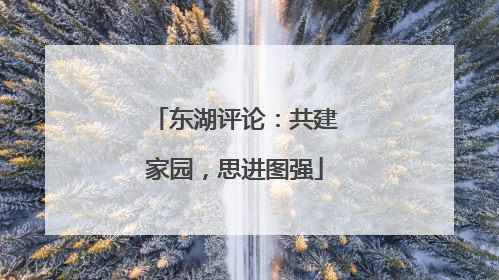 东湖评论：共建家园，思进图强