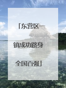 东营区一镇成功跻身全国百强