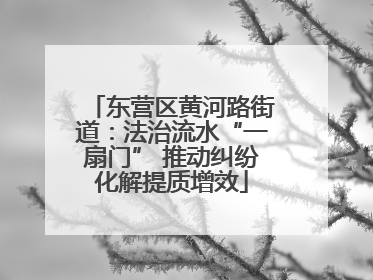 东营区黄河路街道：法治流水“一扇门” 推动纠纷化解提质增效