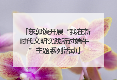 东郭镇开展“我在新时代文明实践所过端午”主题系列活动