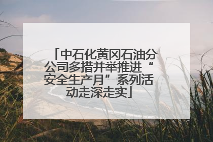 中石化黄冈石油分公司多措并举推进“安全生产月”系列活动走深走实