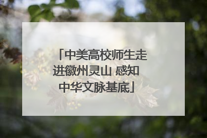 中美高校师生走进徽州灵山 感知中华文脉基底