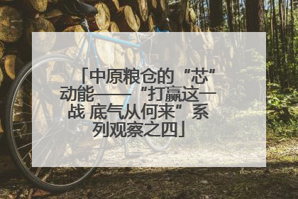 中原粮仓的“芯”动能——“打赢这一战 底气从何来”系列观察之四
