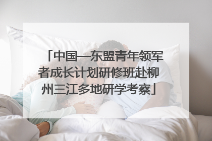 中国—东盟青年领军者成长计划研修班赴柳州三江多地研学考察