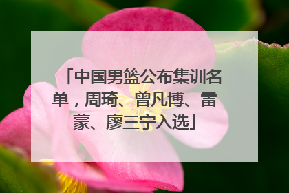 中国男篮公布集训名单，周琦、曾凡博、雷蒙、廖三宁入选