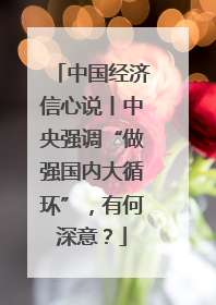 中国经济信心说丨中央强调“做强国内大循环”，有何深意？