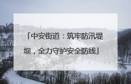 中安街道：筑牢防汛堤坝，全力守护安全防线