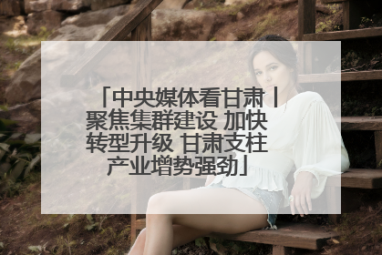 中央媒体看甘肃丨聚焦集群建设 加快转型升级 甘肃支柱产业增势强劲