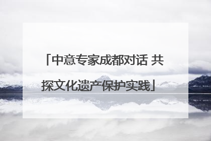 中意专家成都对话 共探文化遗产保护实践