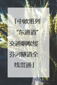 中欧班列“东通道”交通咽喉绥芬河隧道全线贯通
