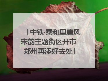 中铁·泰和里唐风宋韵主题街区开市 郑州再添好去处