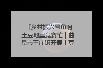乡村振兴号角响 土豆地里竞赛忙｜曲阜市王庄镇开展土豆收获劳动竞赛