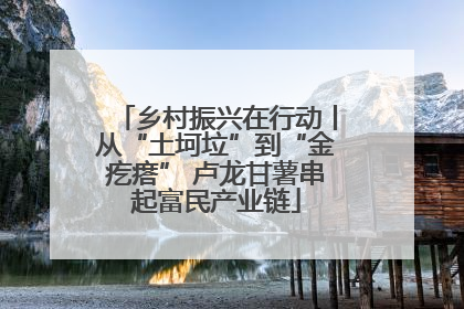 乡村振兴在行动丨从“土坷垃”到“金疙瘩” 卢龙甘薯串起富民产业链
