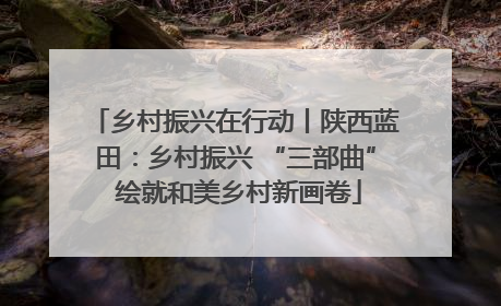 乡村振兴在行动丨陕西蓝田：乡村振兴 “三部曲” 绘就和美乡村新画卷