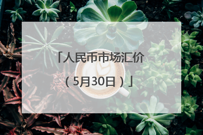 人民币市场汇价（5月30日）
