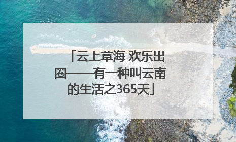 云上草海 欢乐出圈——有一种叫云南的生活之365天