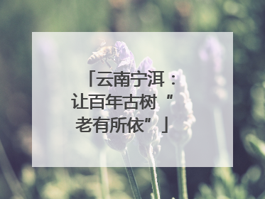 云南宁洱：让百年古树“老有所依”