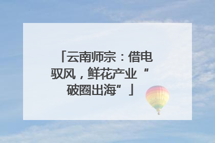 云南师宗：借电驭风，鲜花产业“破圈出海”