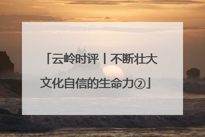 云岭时评丨不断壮大文化自信的生命力②