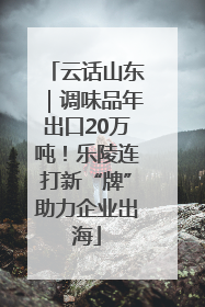 云话山东｜调味品年出口20万吨！乐陵连打新“牌”助力企业出海