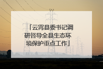 云霄县委书记调研督导全县生态环境保护重点工作