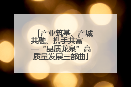 产业筑基、产城共融、携手共富——“品质龙泉”高质量发展三部曲