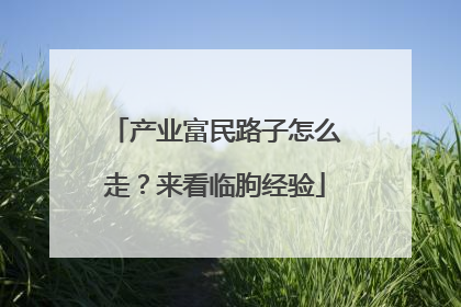 产业富民路子怎么走？来看临朐经验