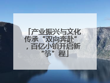 产业振兴与文化传承“双向奔赴”，百亿小镇开启新“筝”程