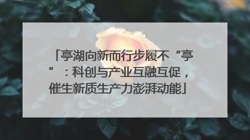 亭湖向新而行步履不“亭”：科创与产业互融互促，催生新质生产力澎湃动能