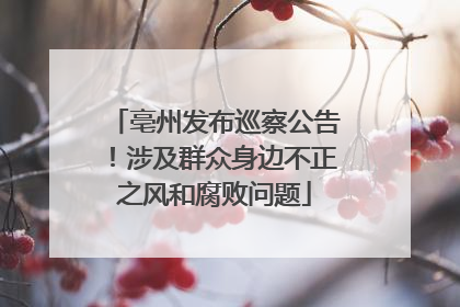 亳州发布巡察公告！涉及群众身边不正之风和腐败问题