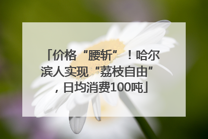 价格“腰斩”！哈尔滨人实现“荔枝自由”，日均消费100吨