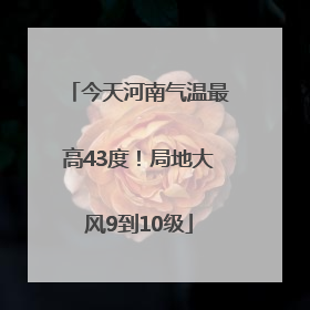 今天河南气温最高43度！局地大风9到10级