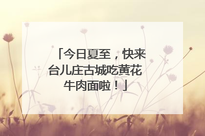 今日夏至，快来台儿庄古城吃黄花牛肉面啦！