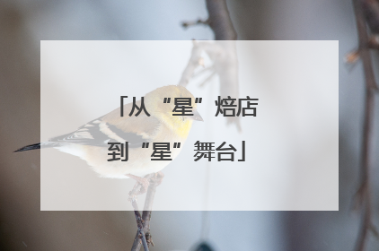 从“星”焙店到“星”舞台