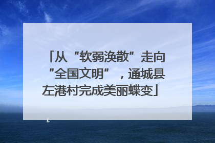 从“软弱涣散”走向“全国文明”，通城县左港村完成美丽蝶变
