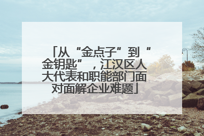 从“金点子”到“金钥匙”，江汉区人大代表和职能部门面对面解企业难题