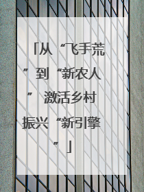 从“飞手荒”到“新农人” 激活乡村振兴“新引擎”