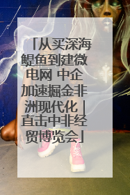 从买深海鳀鱼到建微电网 中企加速掘金非洲现代化｜直击中非经贸博览会