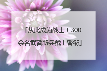 从此成为战士！300余名武警新兵戴上警衔